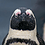 kevinhay